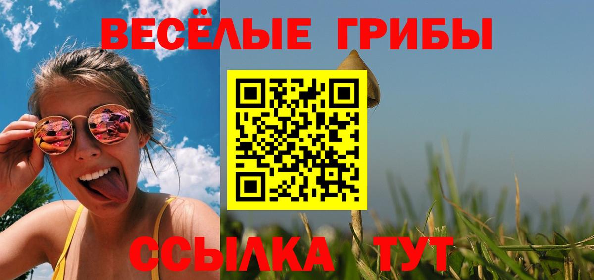 Галлюциногенные грибы Magic Shrooms Лесосибирск