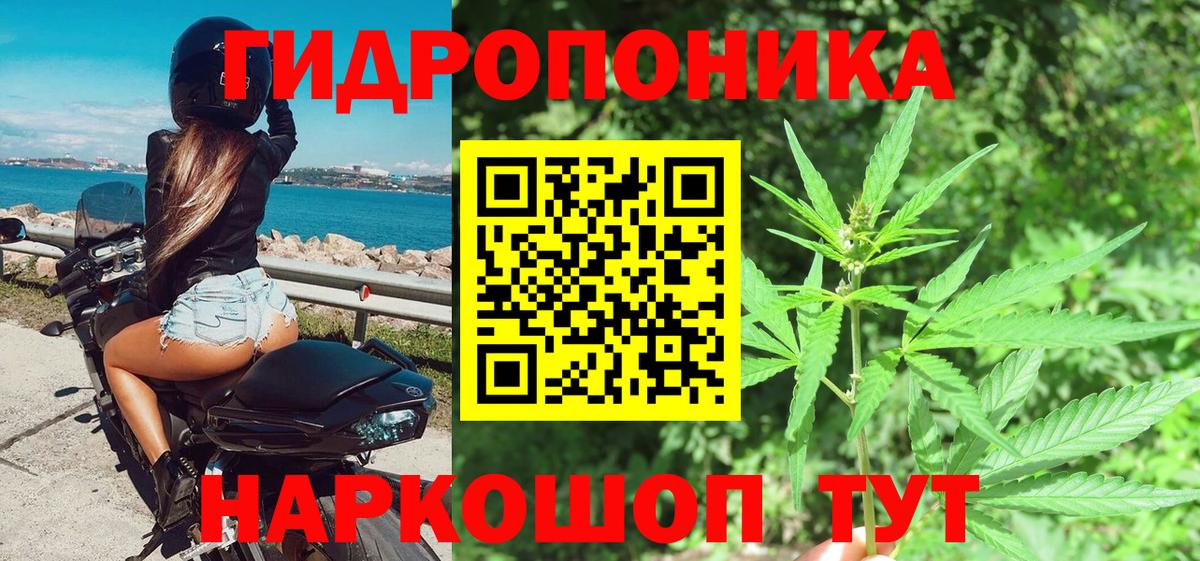 Конопля семена Лесосибирск